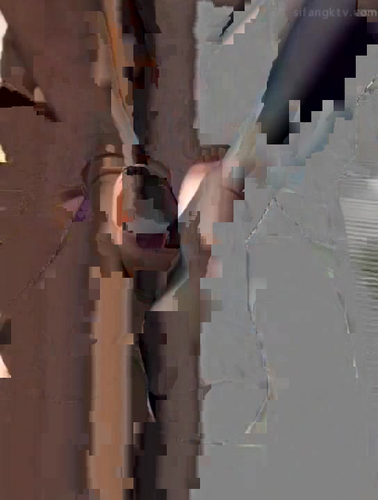 第1集